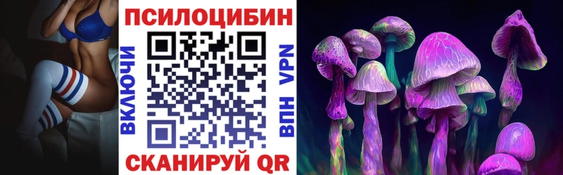 Галлюциногенные грибы Psilocybe  Ялуторовск 